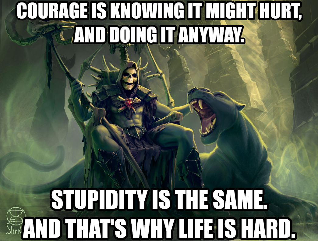 COURAGE IS KNOWING IT MIGHT HURT, AND DOING IT ANYWAY.
STUPIDITY IS THE SAME.
AND THAT'S WHY LIFE IS HARD.